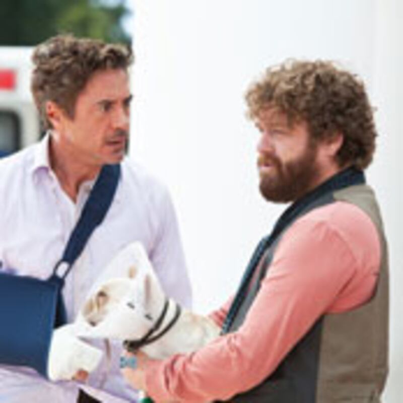 articles/2010/11/05/mel-gibson-in-the-hangover-anna-sui-and-more-yes-list-culture-picks/due-date_yfjlze