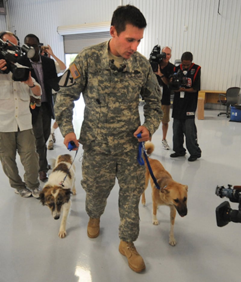 galleries/2010/12/13/heroic-animals/heroic-animals---target_euz8f8