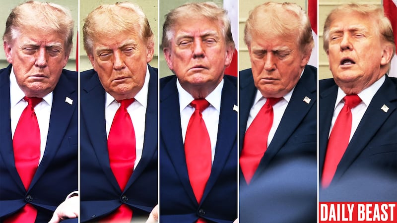 Donald Trump asleep