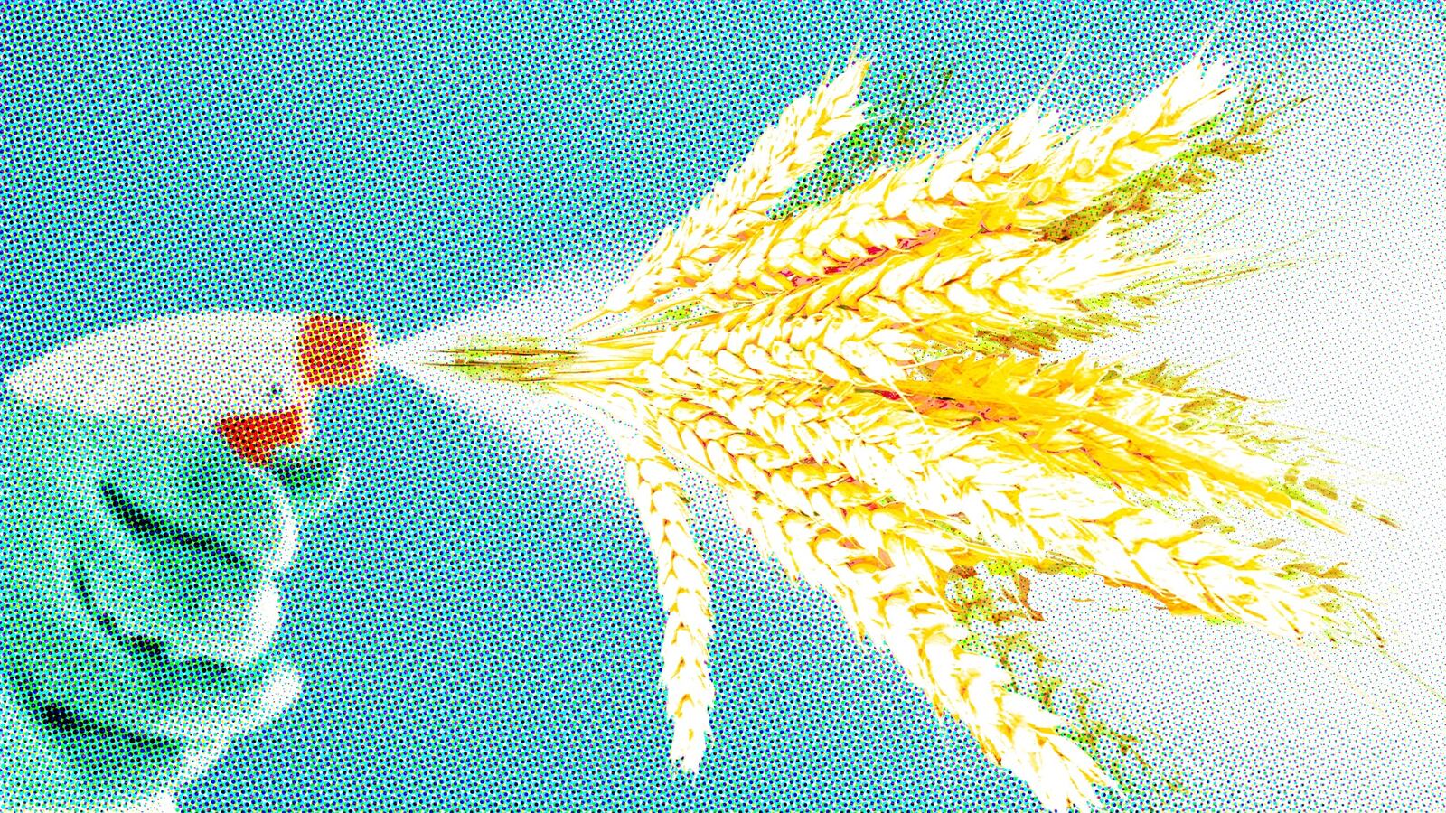 articles/2014/07/16/celiac-or-not-gluten-free-dish-soap-is-ridiculous/140714-GLUTEN_ziilbp