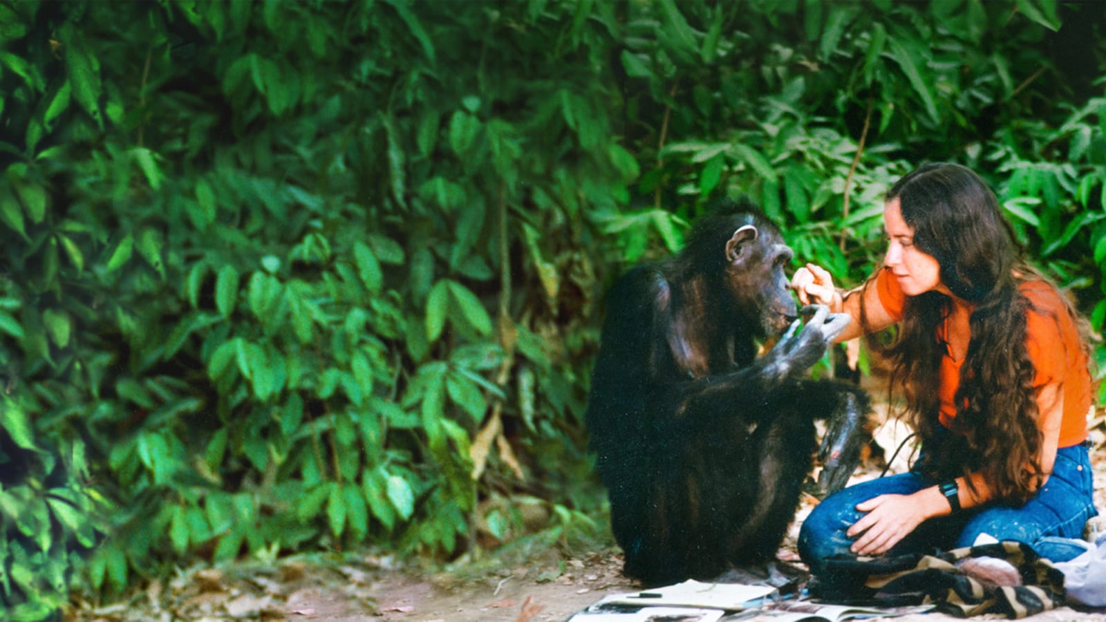 The Tragedy and Urgent Warning Behind HBO Max’s ‘Lucy the Human Chimp’