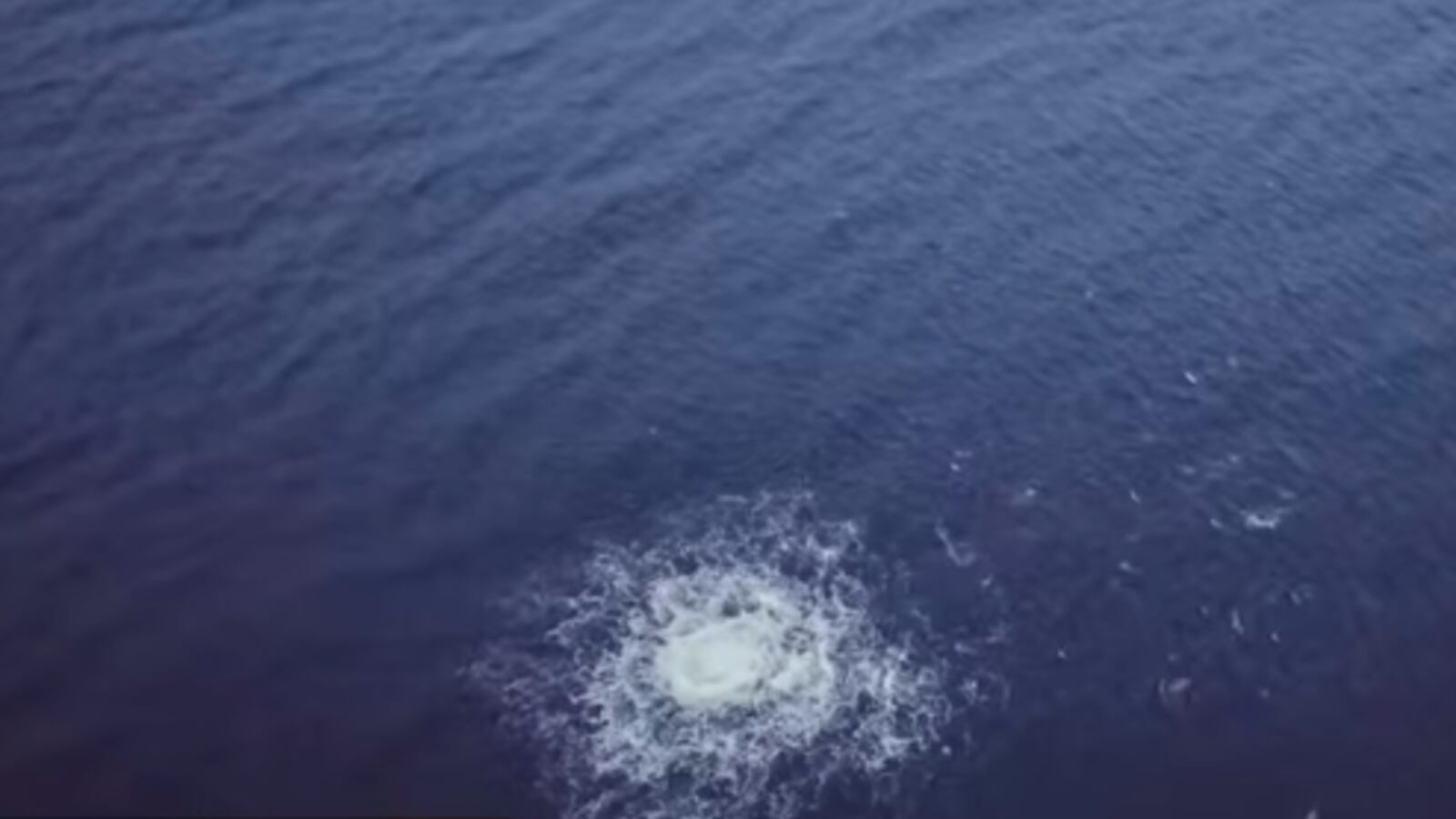 Hermosa BEach CBS LA