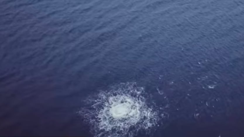 Hermosa BEach CBS LA