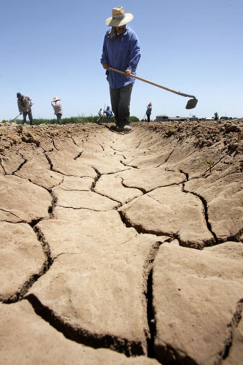 galleries/2012/07/19/the-13-thirstiest-states-from-arkansas-to-iowa/new-mexico-thirstiest-states_wmqfzc