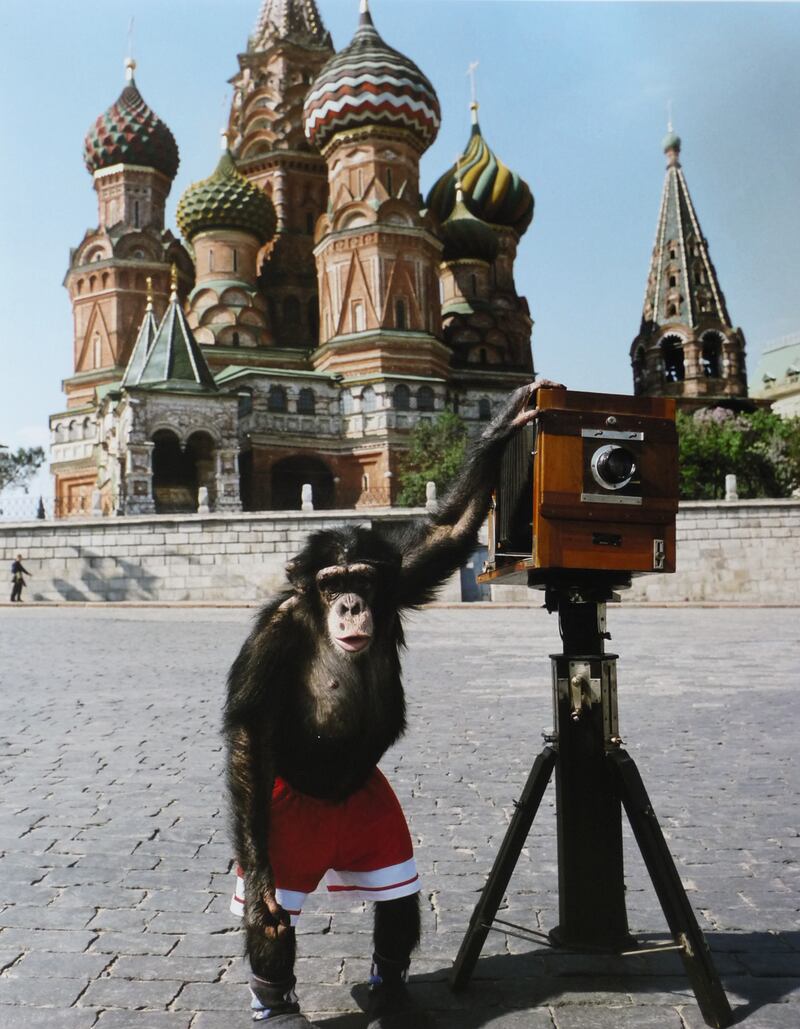 articles/2013/06/06/monkey-business/130606-art-beast-chimp-photo-embed_am2vqn
