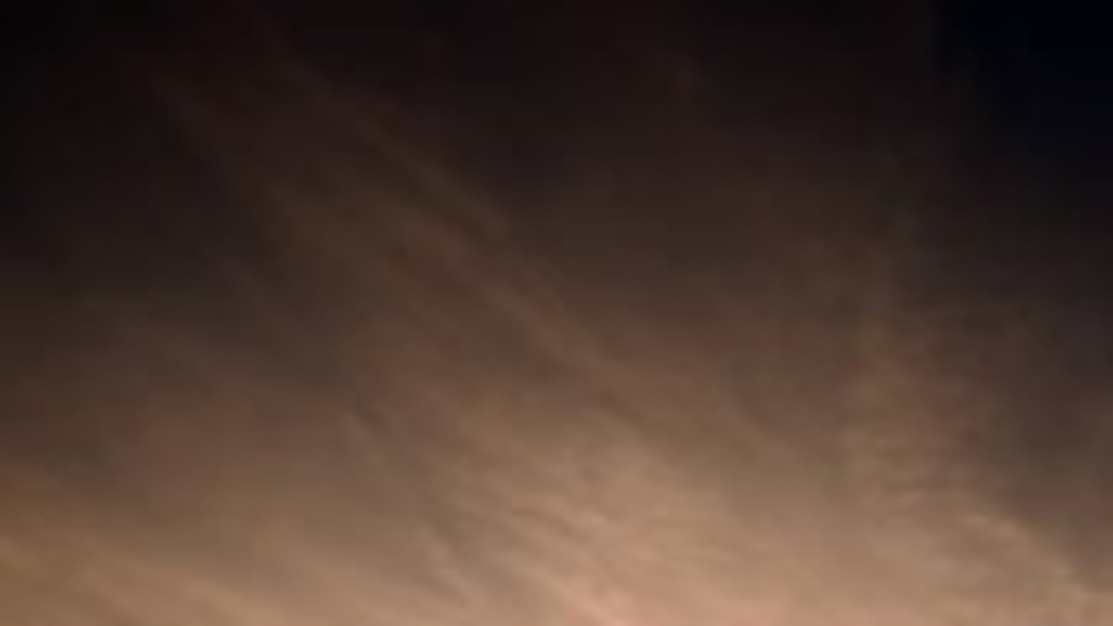 articles/2009/03/24/the-suicide-gene/schwartz-plath-suicides-hughes_19188_khr12x