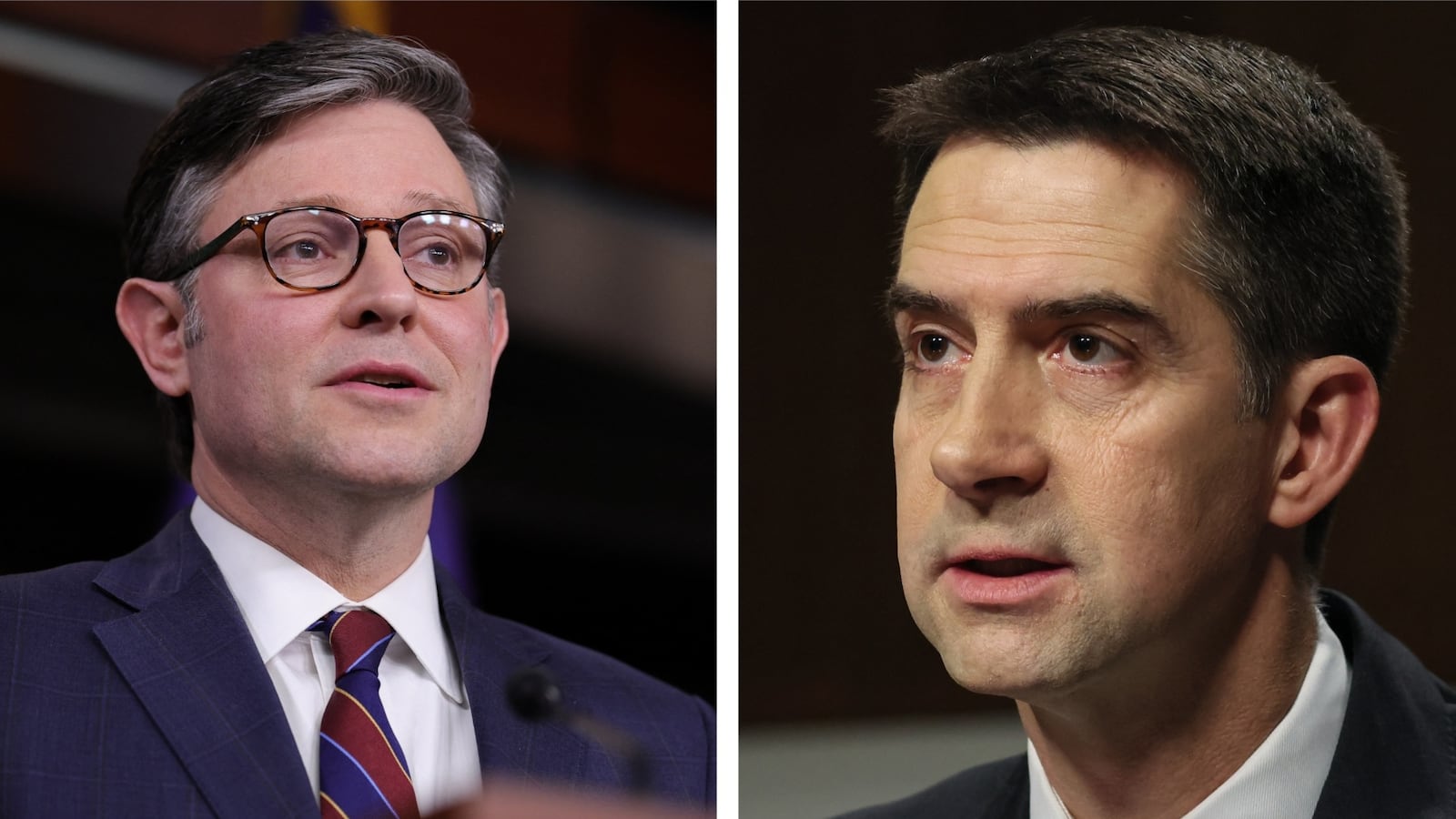 Mike Johnson and Tom Cotton
