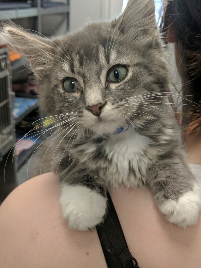 190910-daly-911-embed2_jyd2go