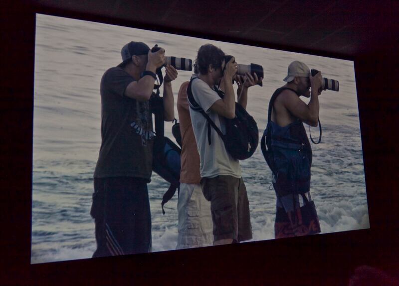 articles/2012/06/13/lindsay-lohan-in-richard-phillips-video-is-the-daily-pic-by-blake-gopnik/paparazzi-daily-pic_ickzzw