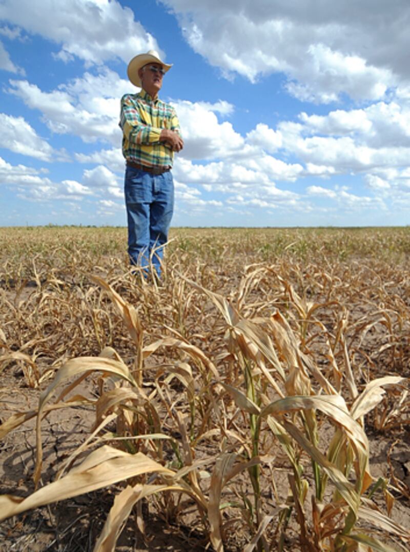 galleries/2012/08/09/praying-for-rain-at-sunshine-ranch-photos/texas-drought-1_fykape