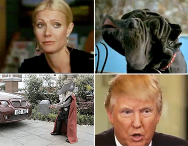 articles/2011/04/22/gwyneth-paltrow-on-glee-lady-gaga-falls-more-viral-videos/week-in-viral-videos-422_175136_osbieb