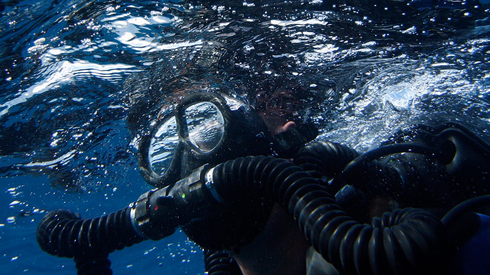 cheats/2014/08/04/heroic-navy-diver-sacrificed-his-life/140804-navy-drowning-cheat_b1xk54