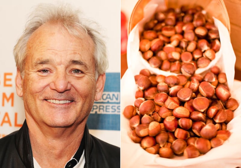 galleries/2010/05/28/celebs-first-jobs/celefirst-jobs---10_hu68tz