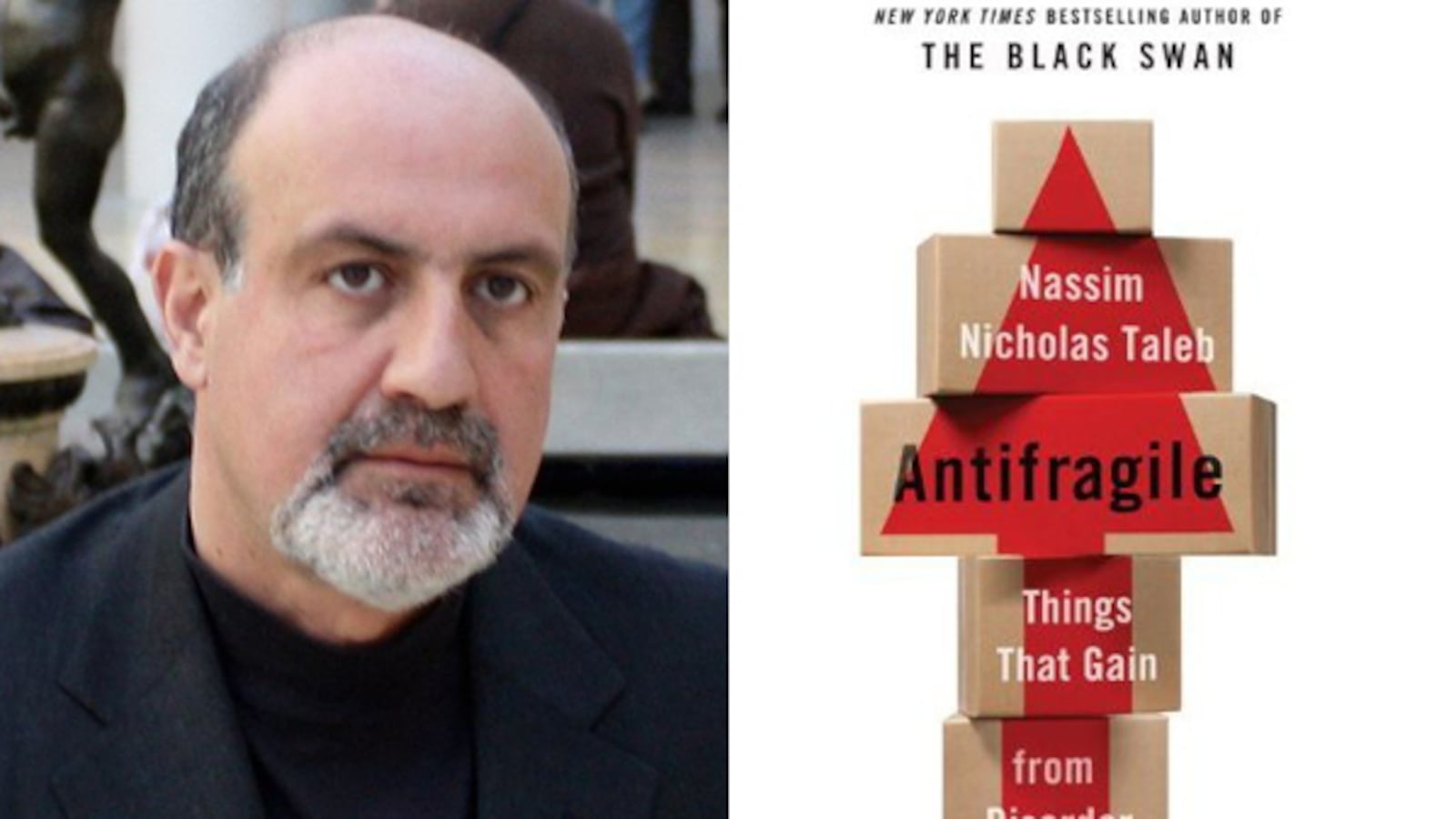 articles/2012/11/26/a-manifesto-for-disorder-nassim-nicholas-taleb-s-antifragile-reviewed/herritt-taleb-disorder-bb-tease_zzotyb