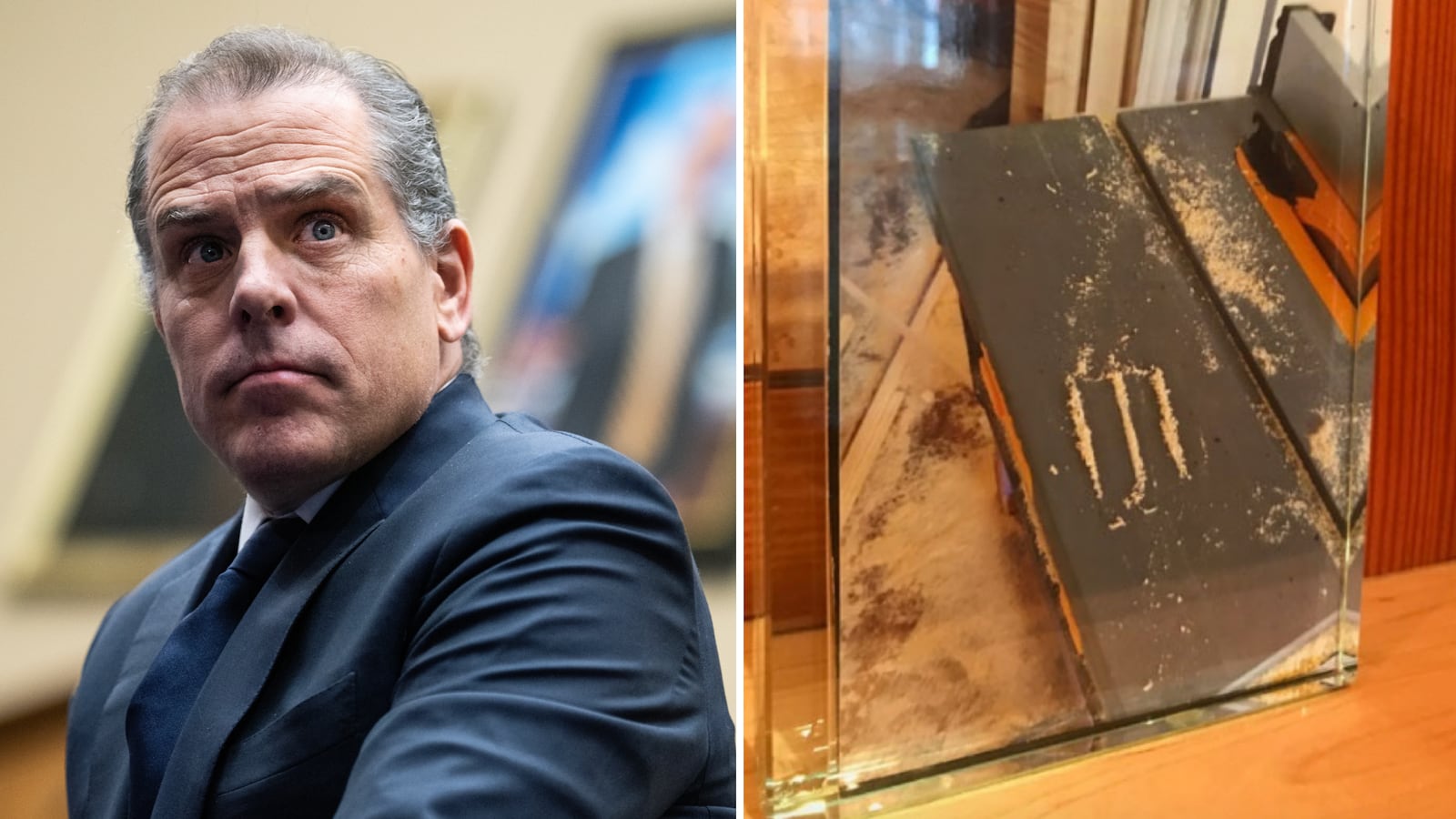 Hunter Biden, sawdust