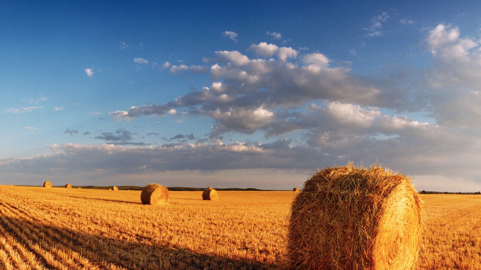 articles/2014/03/16/death-in-the-heartland-what-happened-to-steven-haataja/140314-teemann-nebraska-tease_psz95d