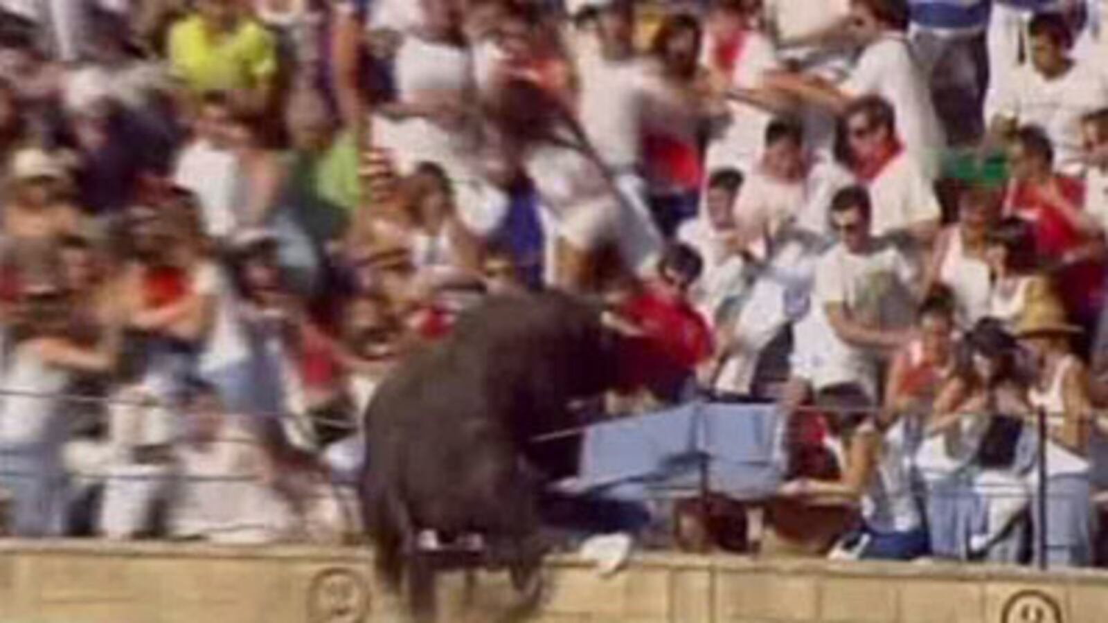 cheats/2010/08/19/bull-jumps-into-crowd-in-spain/bull-jumps-into-crowd-in-spain_la90n4