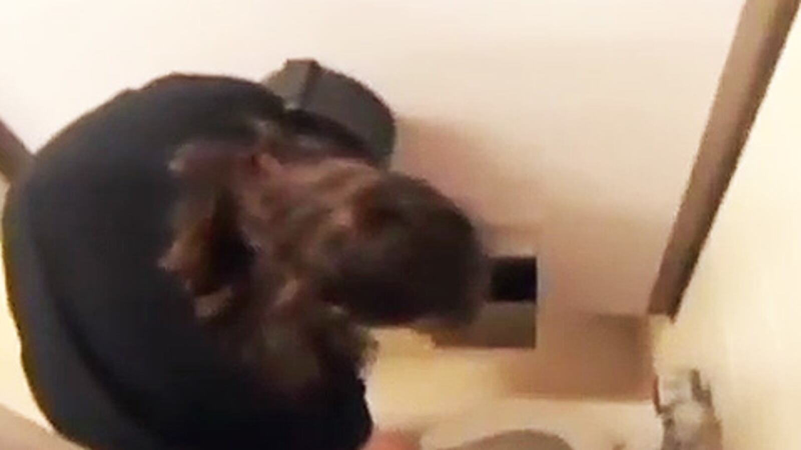 videos/2010/07/27/obsessed-ocd-patient-touch-toilet/obsessed-toilet_dkf4ml