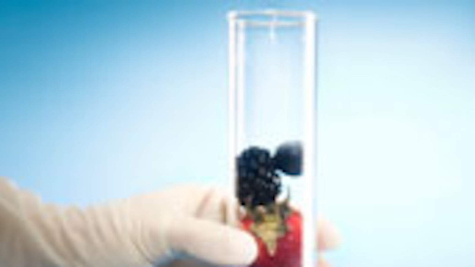 articles/2010/01/22/the-secrets-of-hybrid-fruit/slate-hybrid-fruit_77078_swvazw