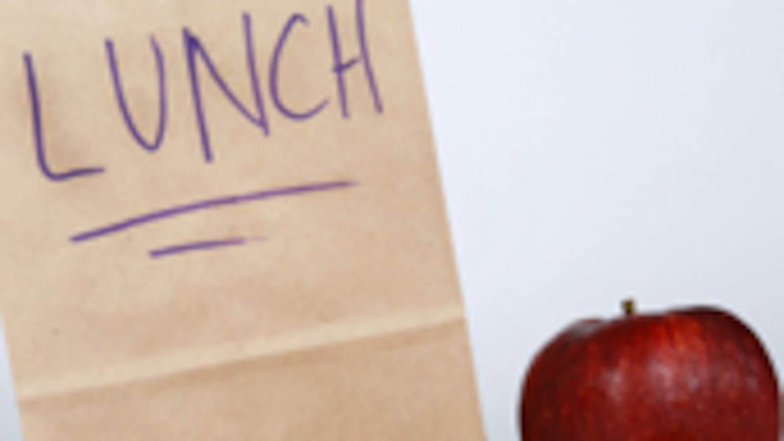 cheats/2011/04/11/chicago-school-bans-homemade-lunch/bennett-food-nazis-sack-lunch_8478_lxpckd