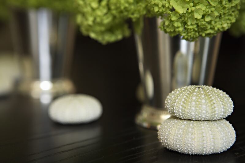 galleries/2013/07/19/omg-i-want-this-house-san-francisco-photos/130718-omg-house4_vmdgga