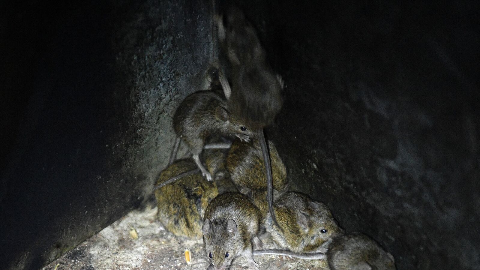 GettyImages-1233440272_ddhbi8