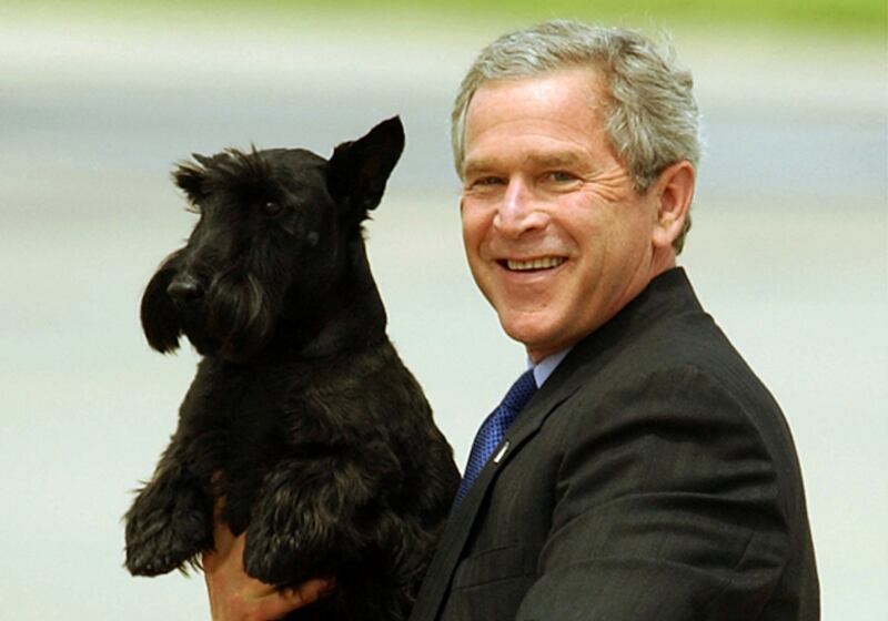galleries/2009/04/12/presidential-pets/presidential-pets---george-w-bush_socmkv