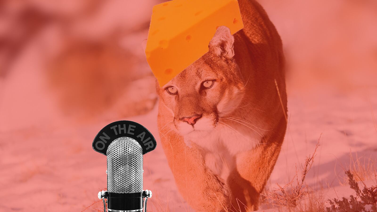 articles/2015/07/27/a-mountain-lion-walks-into-a-podcast/150727-tdb-beast-cast-tease_j6dvvg