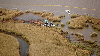 cheats/2011/04/18/survey-gulf-of-mexicos-health-is-normal/gulf-of-mexico_fz2j3m