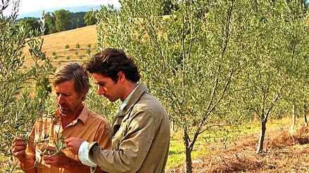 articles/2011/04/27/harvesting-evoo-down-under/meltzer-olive-oil_176132_vi0n20