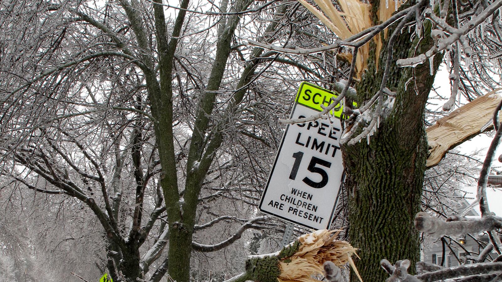 cheats/2013/04/11/midwest-storm-morphs-from-tornadoes-to-snow/130411-midwest-spring-storm-cheat_lvljrz