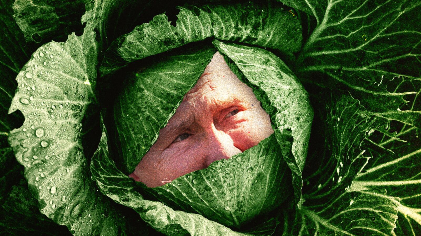 030223-cabbage-hero_s9zrjs