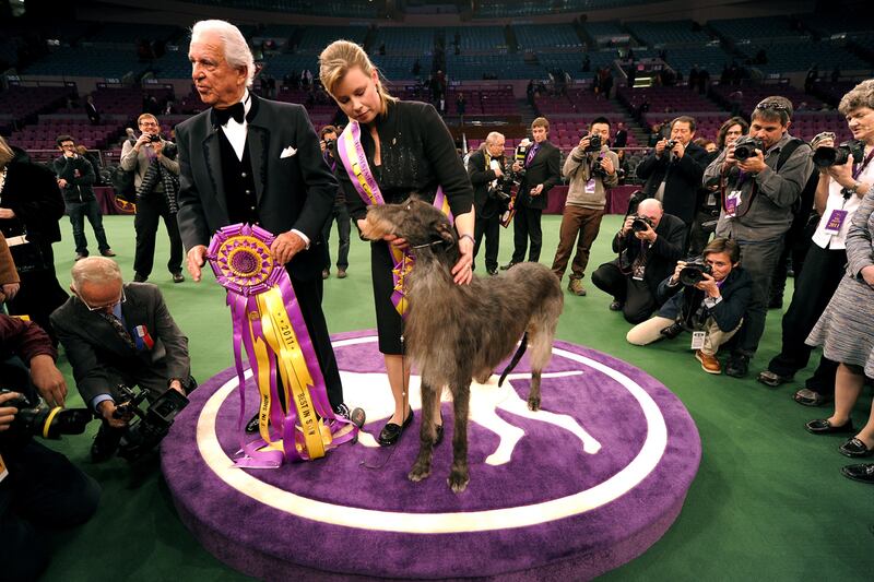 galleries/2011/12/05/uggy-and-other-famous-dogs-of-2011-photos/year-in-dogs-hickory_fxnq3h