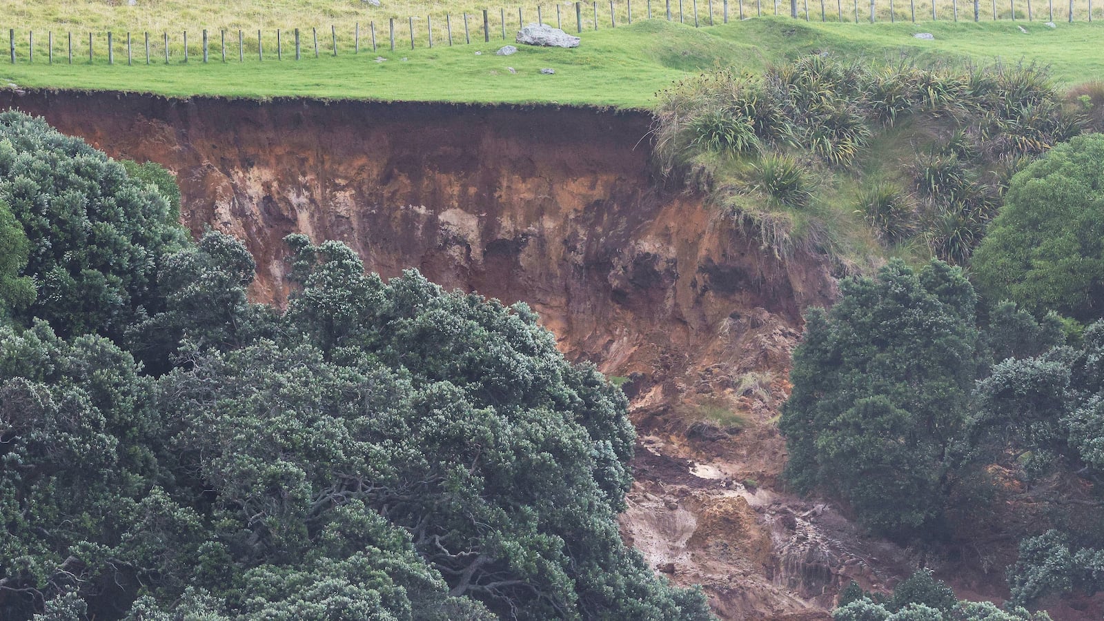 New Zealand landslide