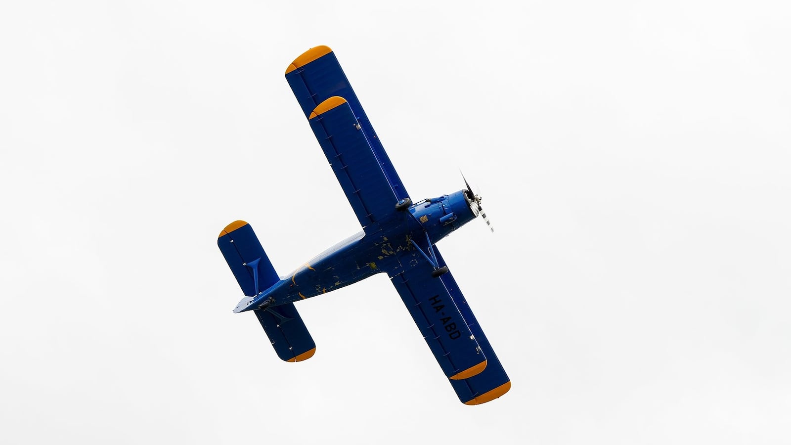 Dijon-Darois_-_Antonov_An-2_-_008_t00zyp