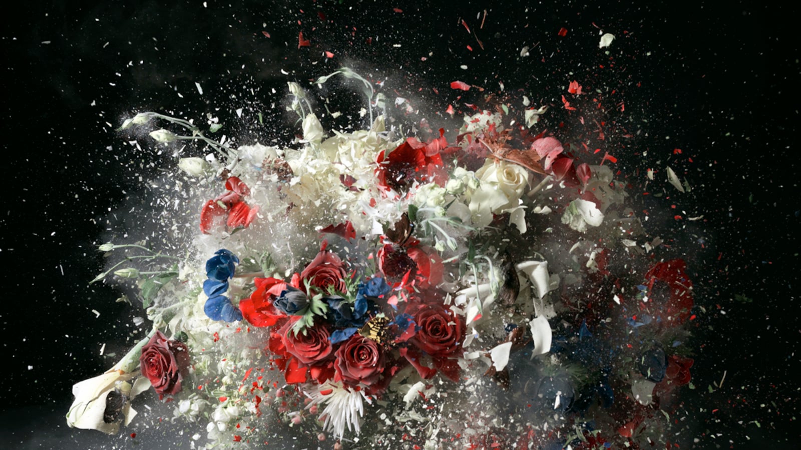 galleries/2012/08/24/ori-gersht-shows-explosive-still-lifes-at-the-museum-of-fine-arts-boston-photos/ori-gersht-tease_pmldvn