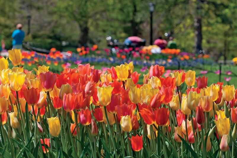 galleries/2015/03/15/the-foreign-wonders-in-your-backyard-photos/150313-nat-geo-01_tckz6q