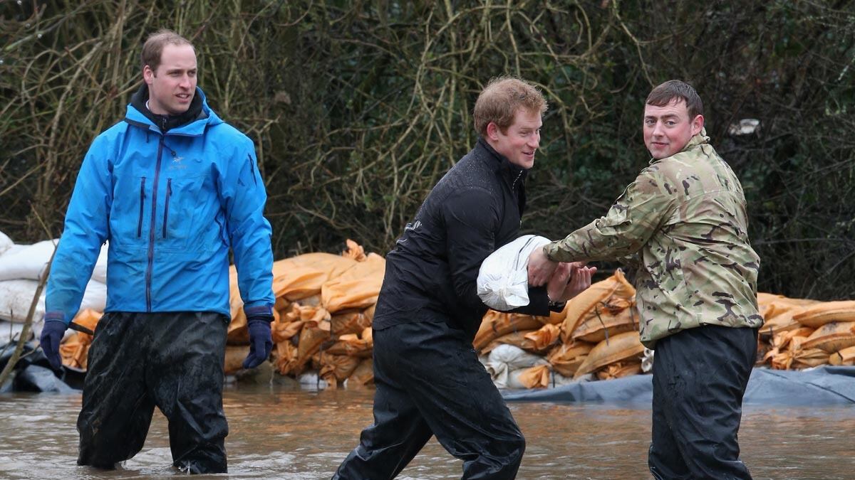 articles/2014/02/14/what-is-william-and-harry-s-problem-with-the-press/harry-will-flood_vfn0ng