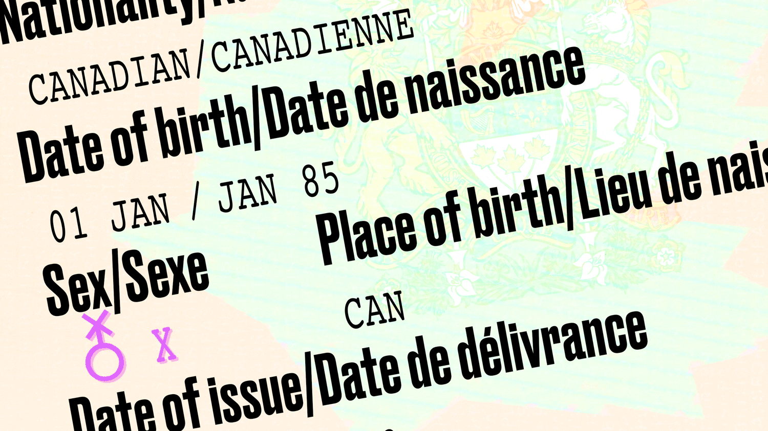 180510-allen-canada-gender-non-binary-hero-1_phwuxx