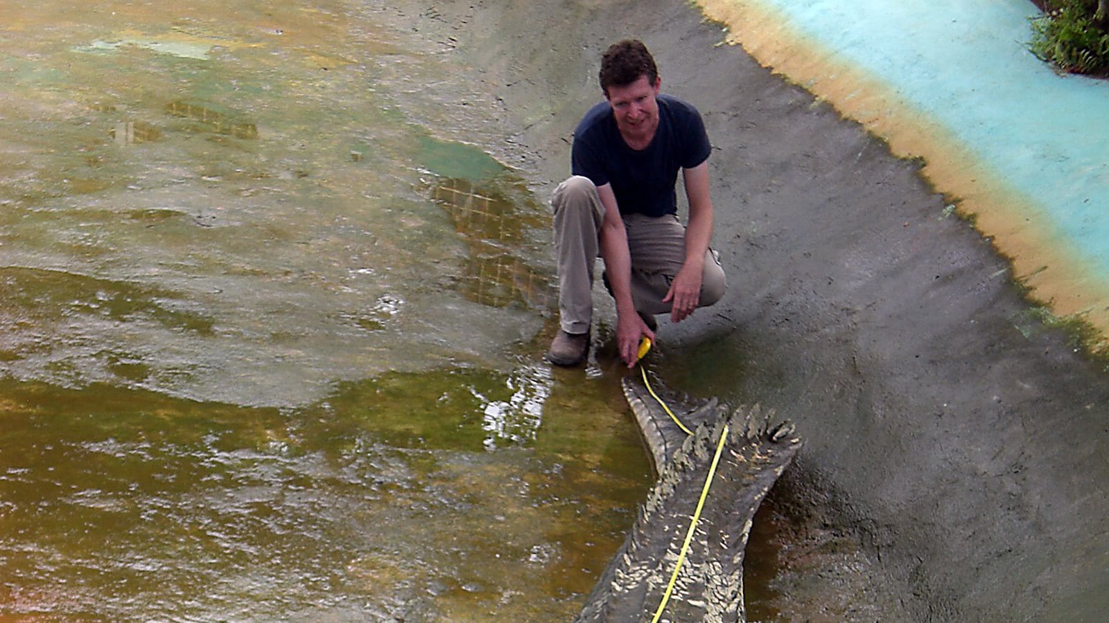 Australian zoologist Adam Britton measures a captive crocodile in 2011.