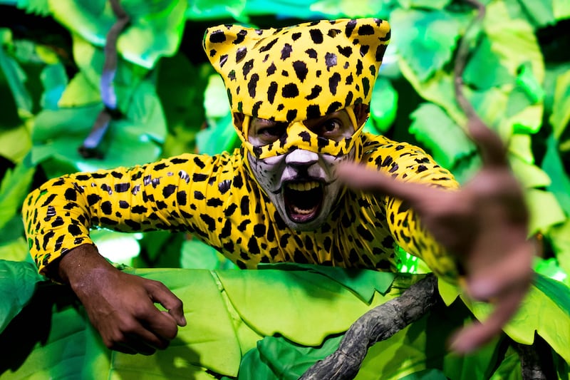 galleries/2014/03/08/the-week-in-photos-march-8-2014/140306-wip-carnival-cheetah_kznmds