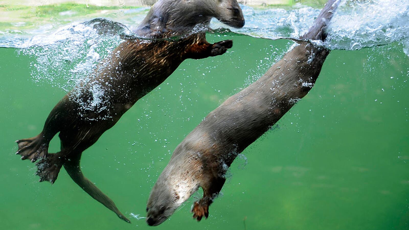 GettyImages-145753103_bxryna