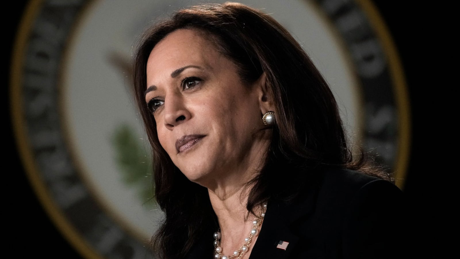 211129-kamala-hoax-hero_sls12b