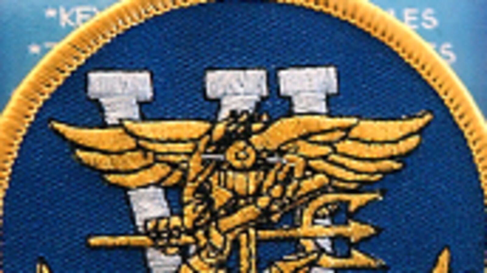 cheats/2011/05/14/disney-trademarks-lsquoseal-team-6rsquo/navy-seals-team-six_xprjwp