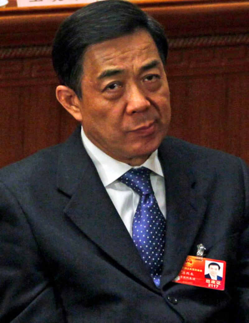 galleries/2012/04/18/a-who-s-who-guide-in-the-gu-kailai-china-political-thriller-photos/madame-gu-bo_to4t12