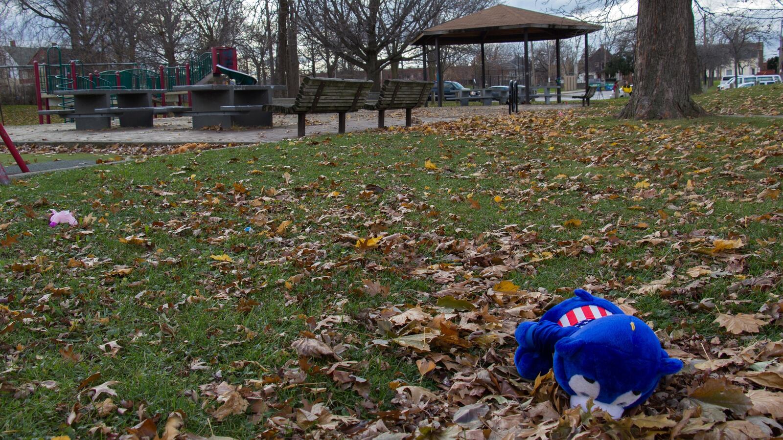 GettyImages-459530336_nq7uwm