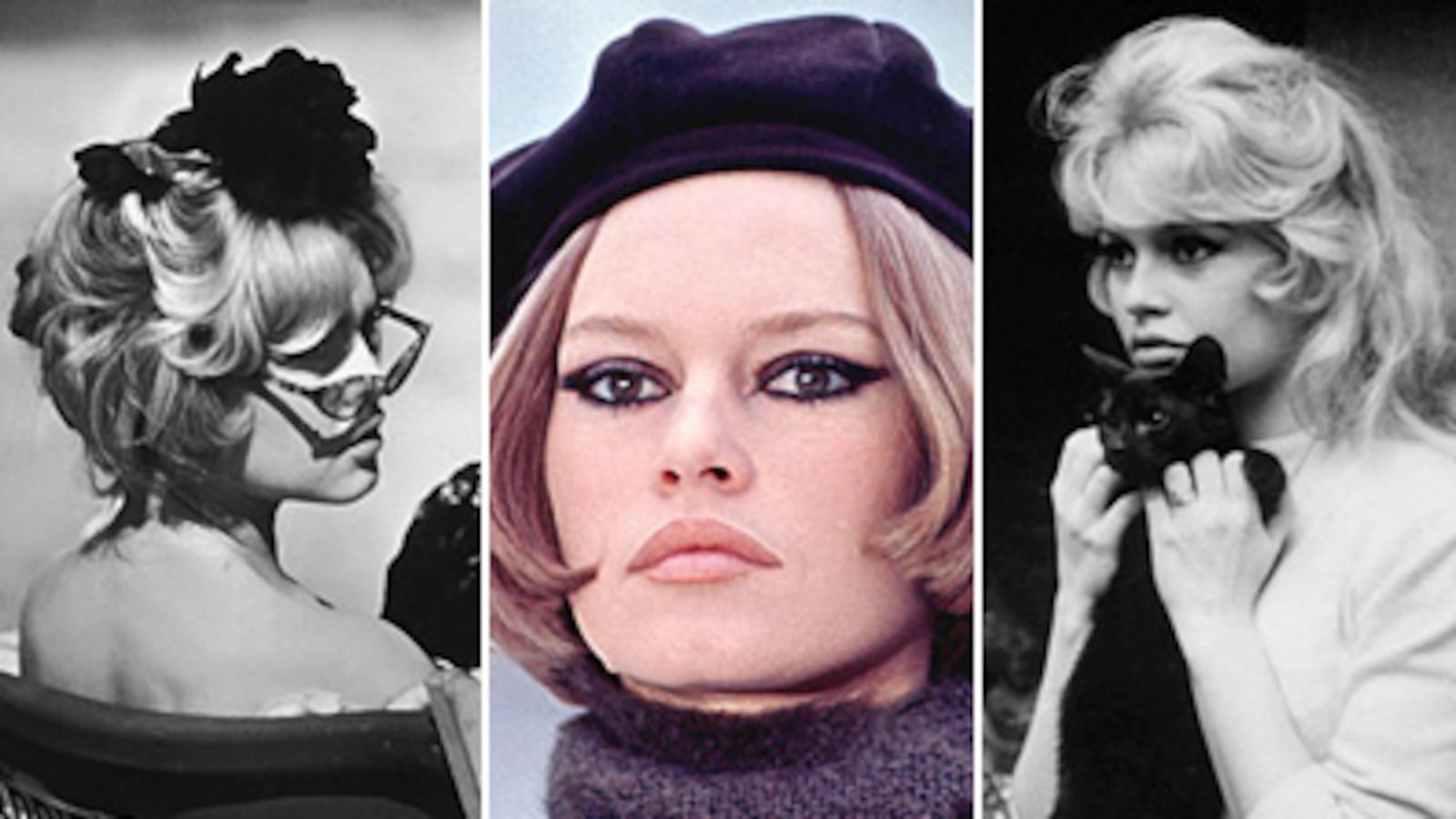 articles/2010/09/27/brigitte-bardot/bardot-birthday---gallery-launch_spzlb7
