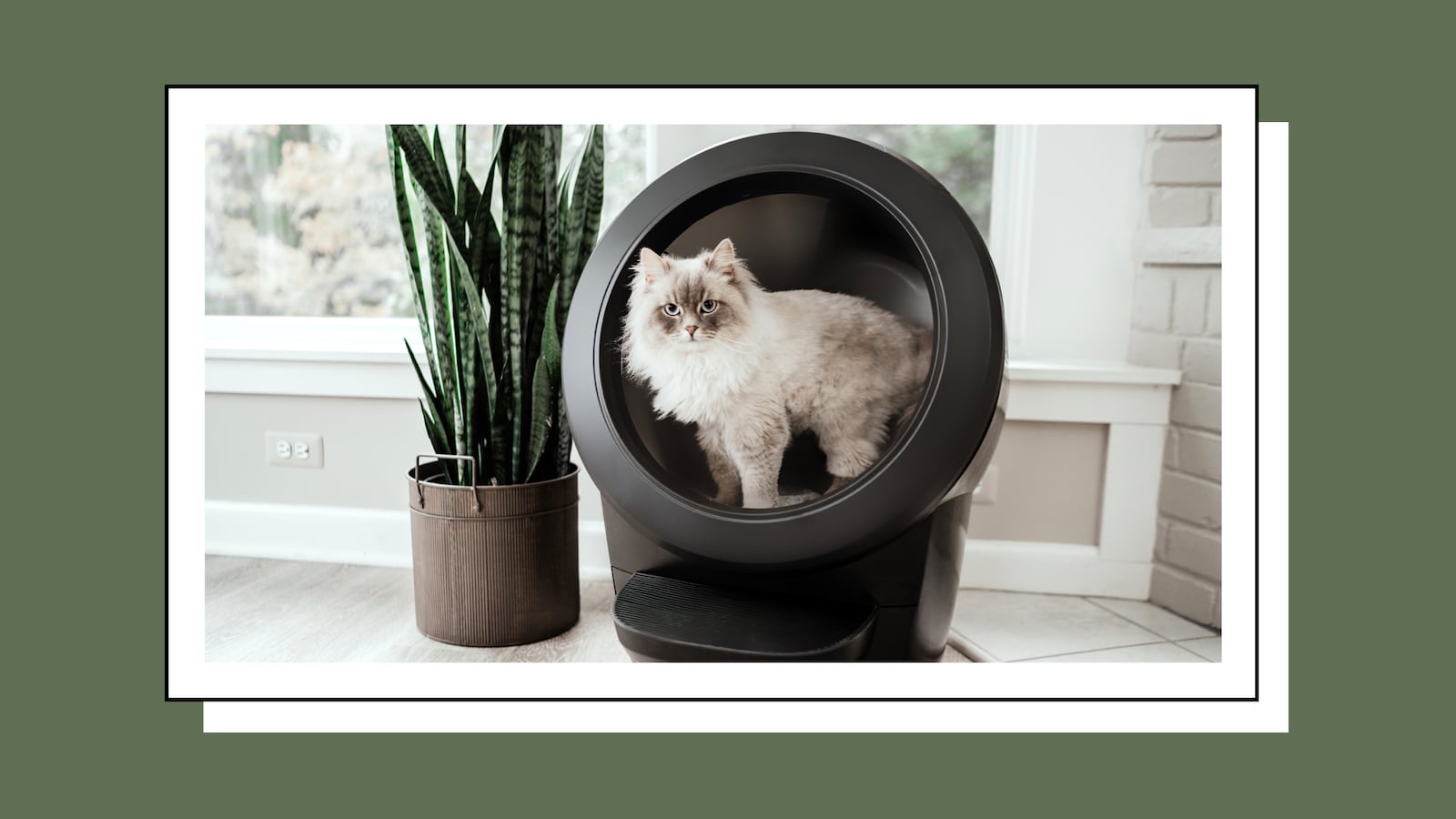 LitterRobot_images.001_bxr2gt