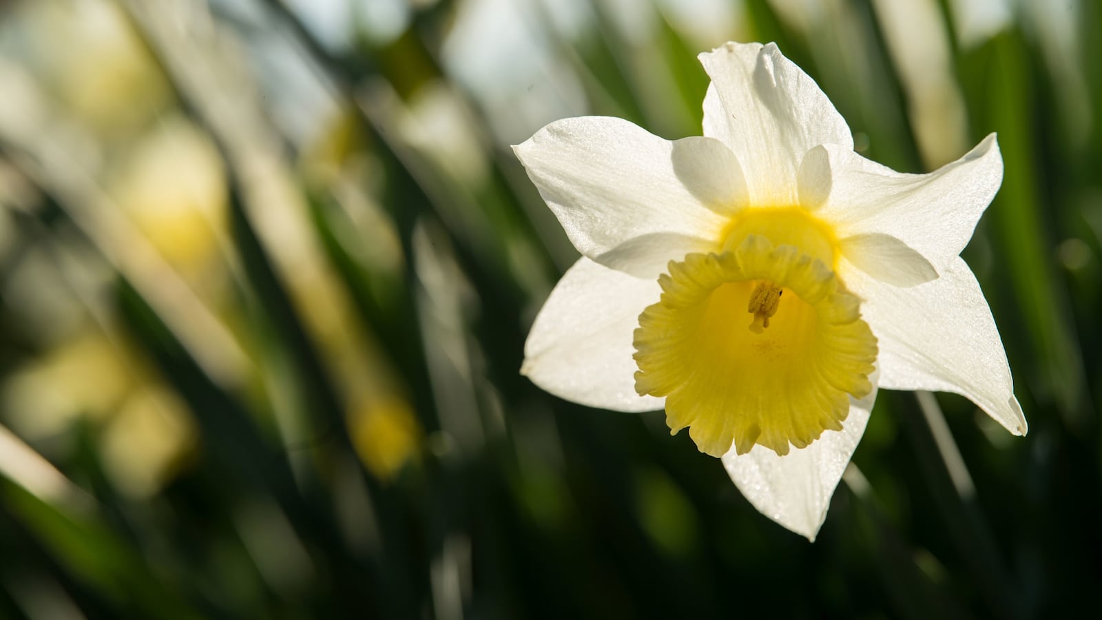 GettyImages-1127383830_jyvvy4