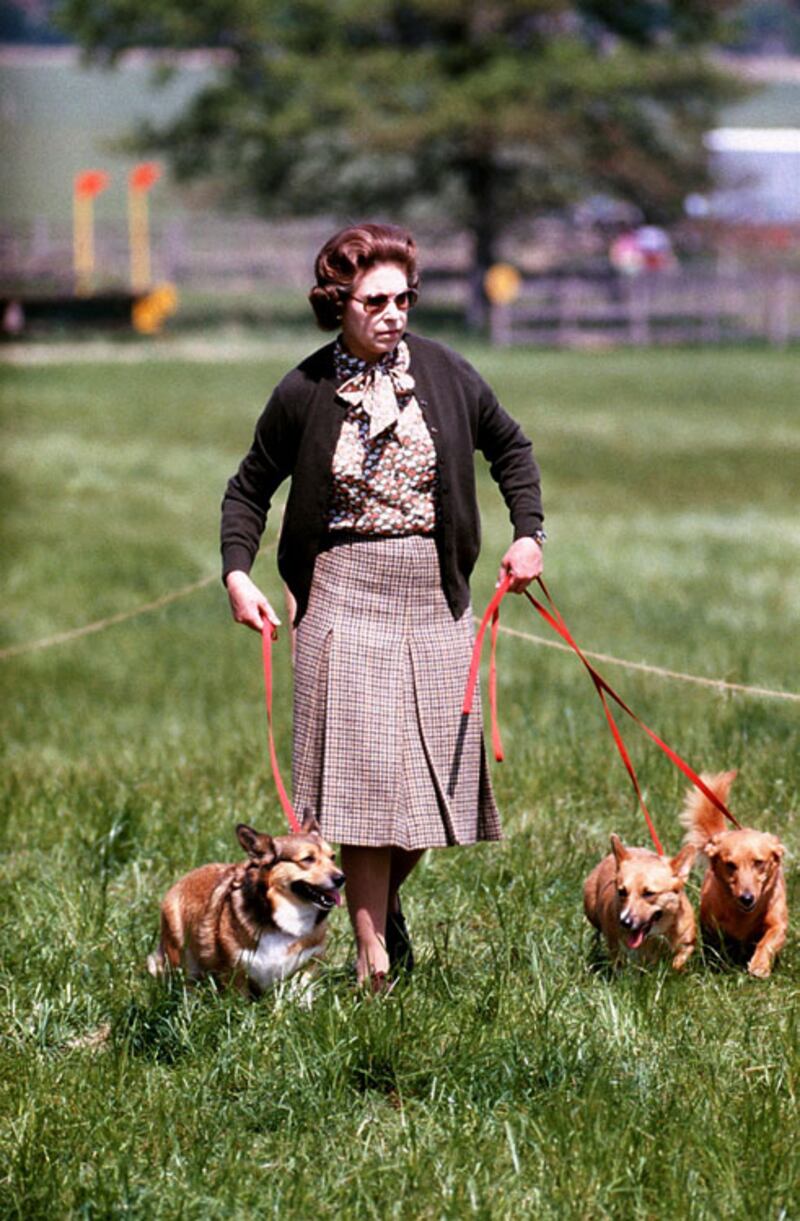 galleries/2012/08/06/queen-elizabeths-corgis-a-brief-history-photos/queen-elizabeth-corgis-12_p0vvlz